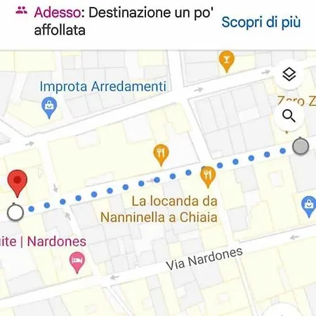 Traversa Toledo, Intero Al Plebiscito